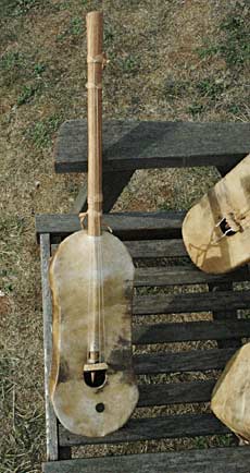 Ngoni