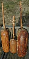Ngoni